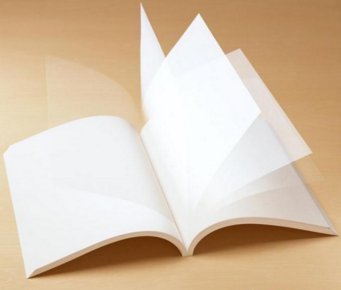 石頭紙 紙板容器制造中的綠色革新與環保意義